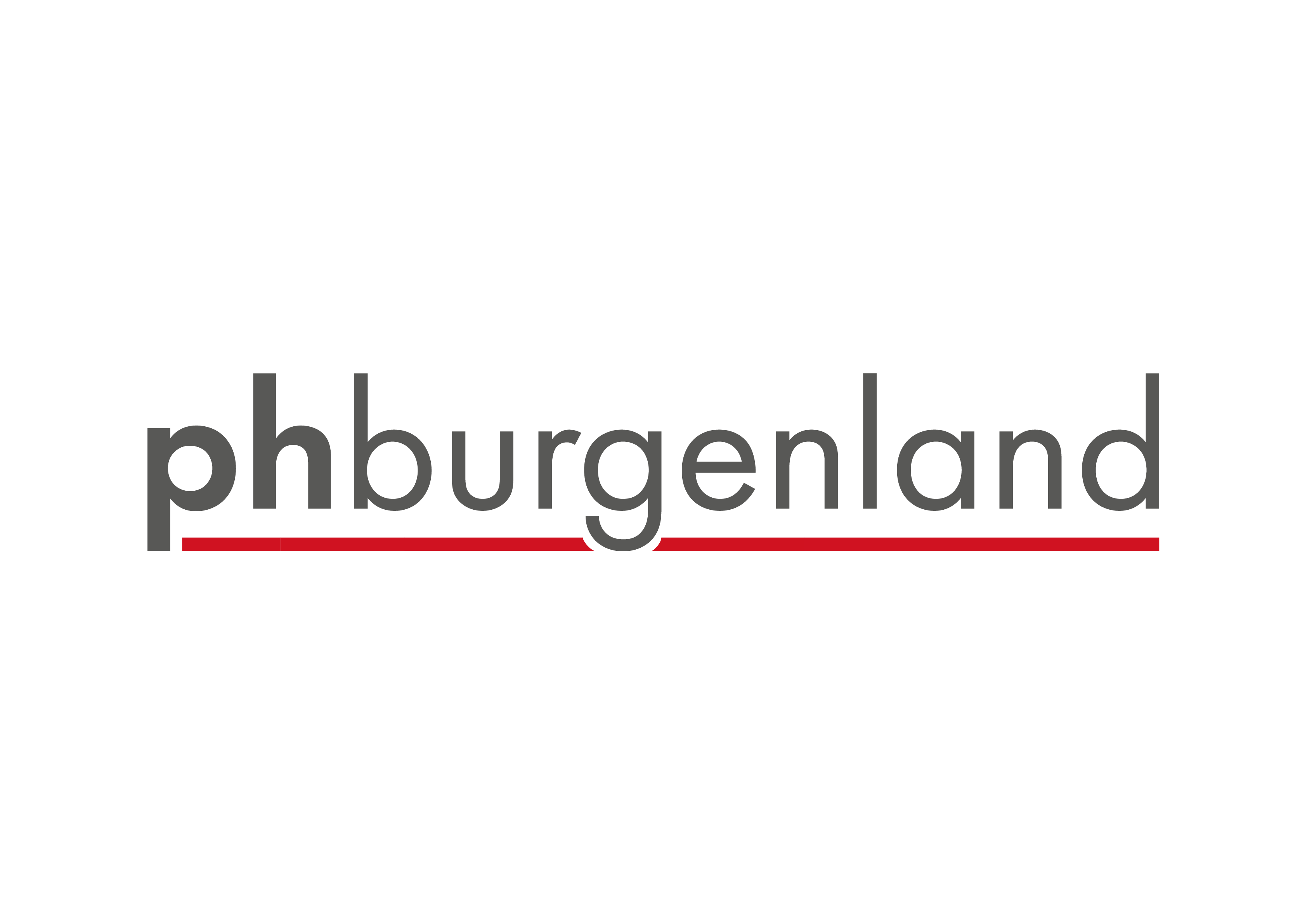 ph-burgenland_logo.png